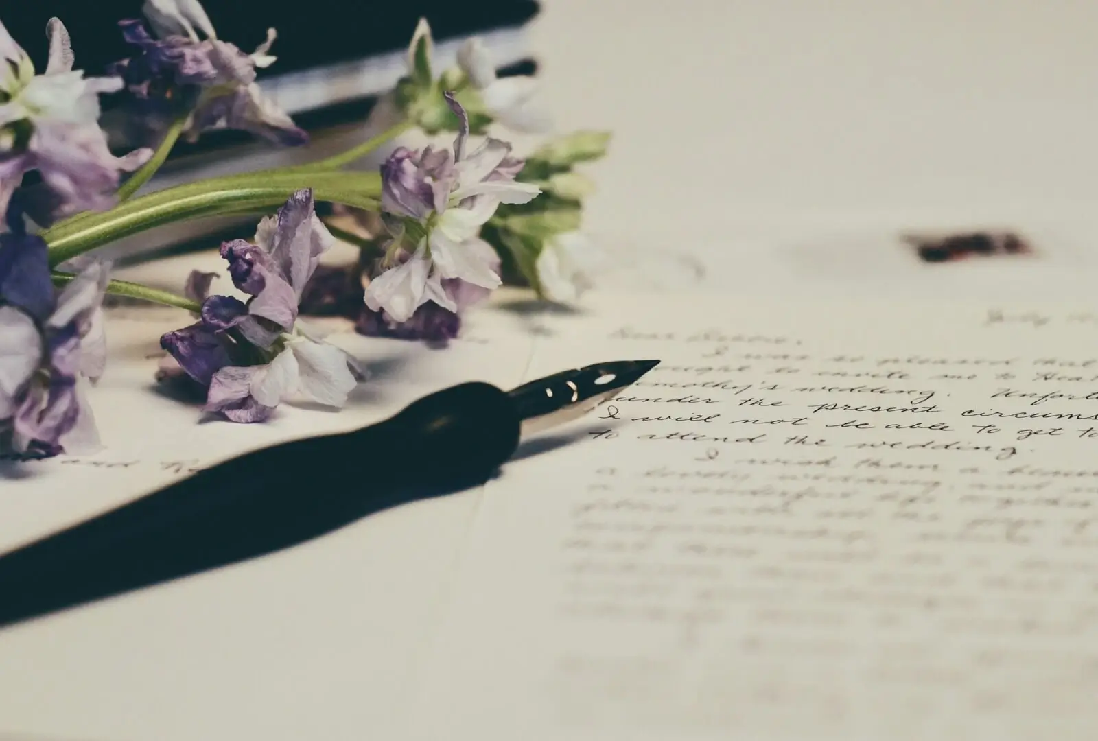 Fountain pen and a notebook